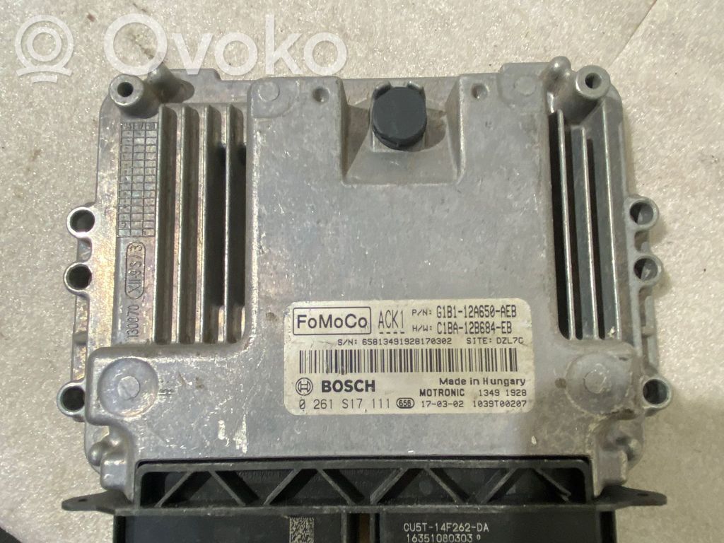 Engine control unit/module   G1B112A650AEB,0261S17111,C1BA12B684EB