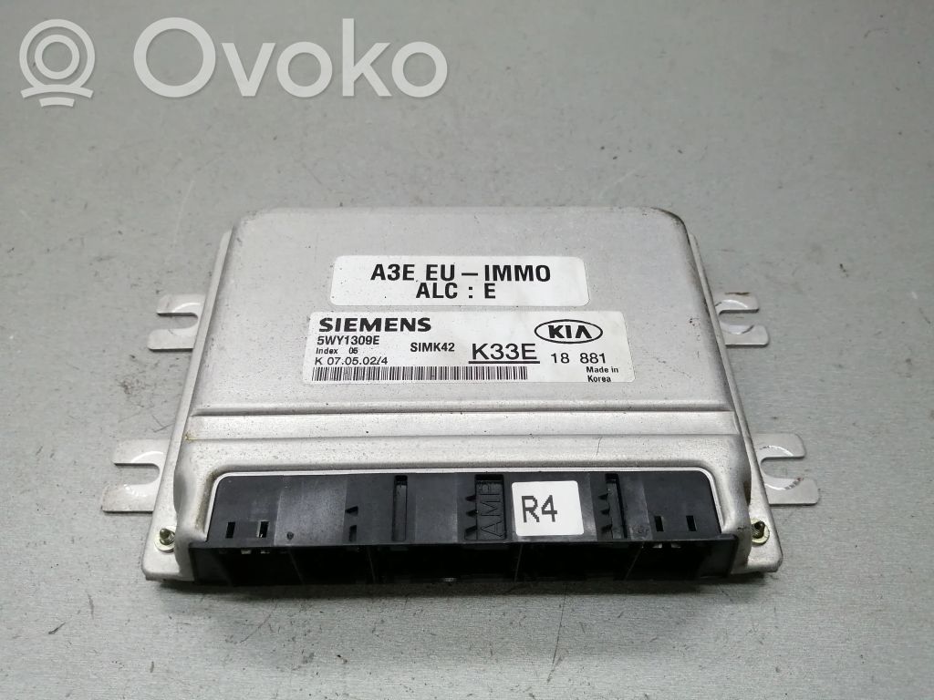 KIA Rio Engine control unit/module 