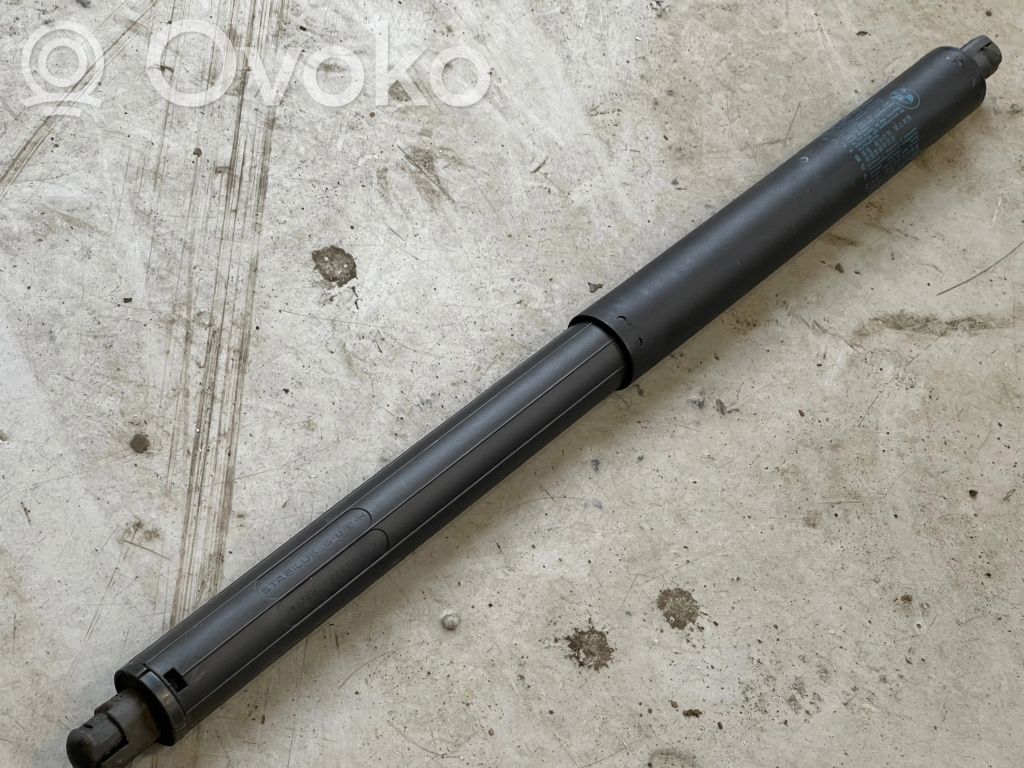 Tailgate/trunk strut/damper   483020