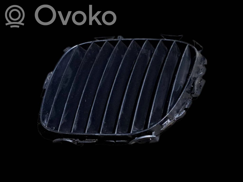 Front grill   8397503