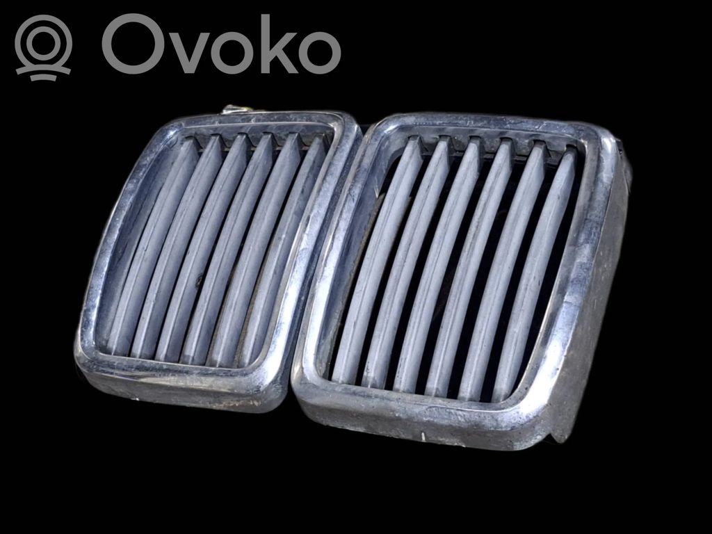 Front grill   51131945877