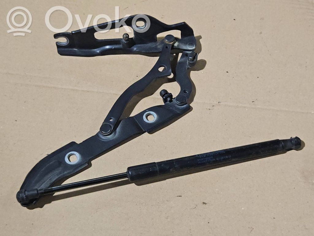 Tailgate/trunk/boot hinge   7166751,0608,ES03