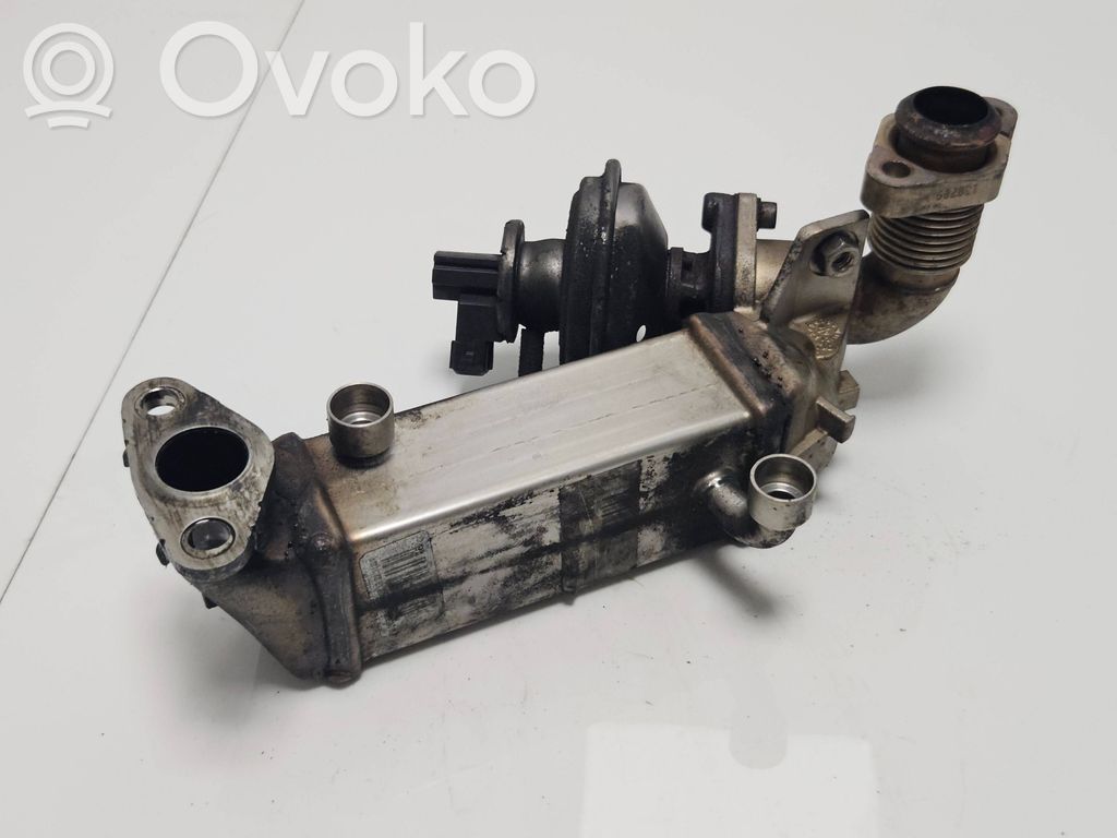 BMW 5 E60 E61 EGR dzesētājs 