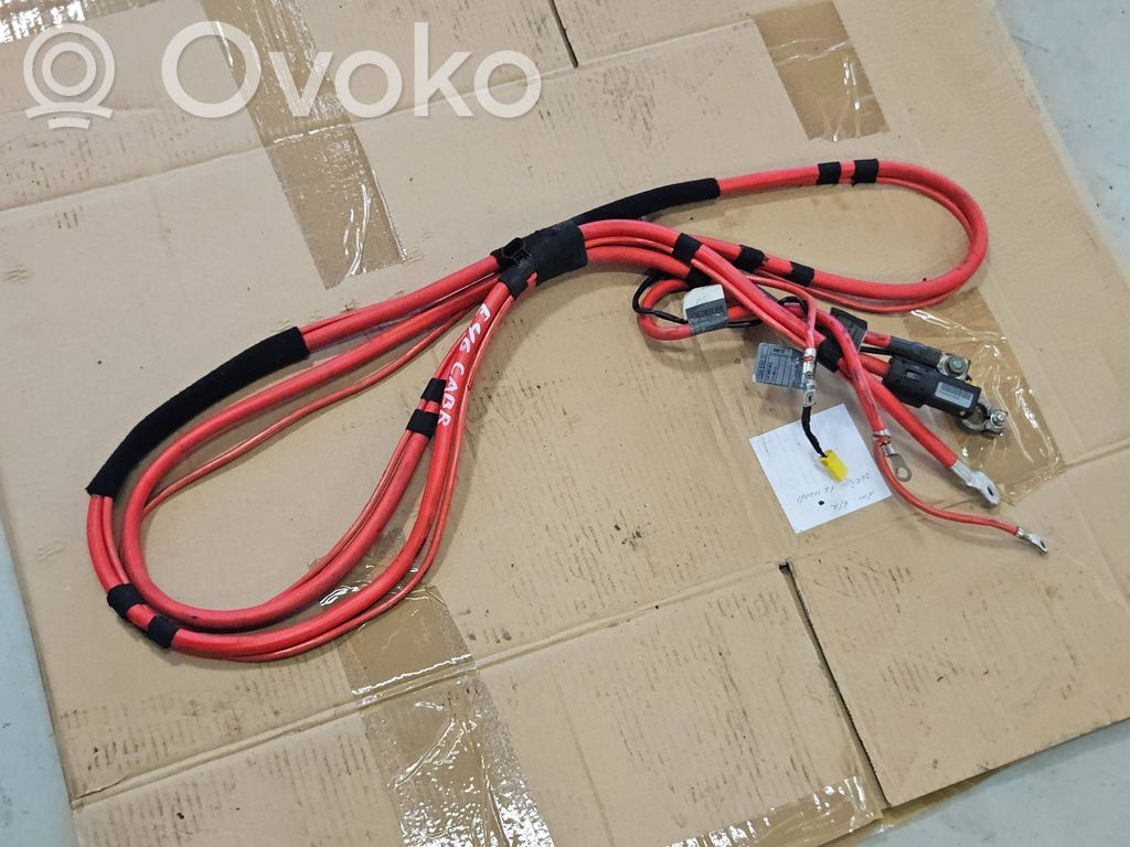 Plusa vads (akumulatora)   6910601,1030441C