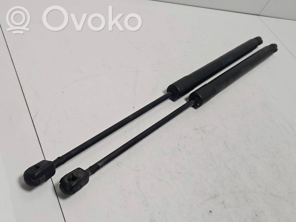 Tailgate/trunk strut/damper   2990136,9240440N,346113BD3