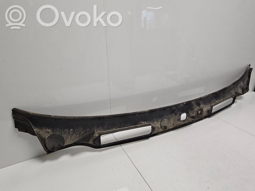 Moldura del limpia   7058220