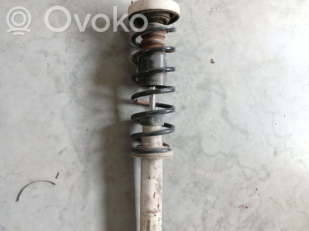 Stoßdämpfer hinten   6766605,H5585WD
