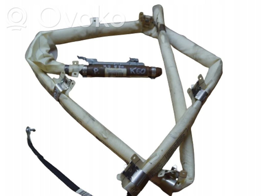 BMW X5 E70 Airbag del techo 