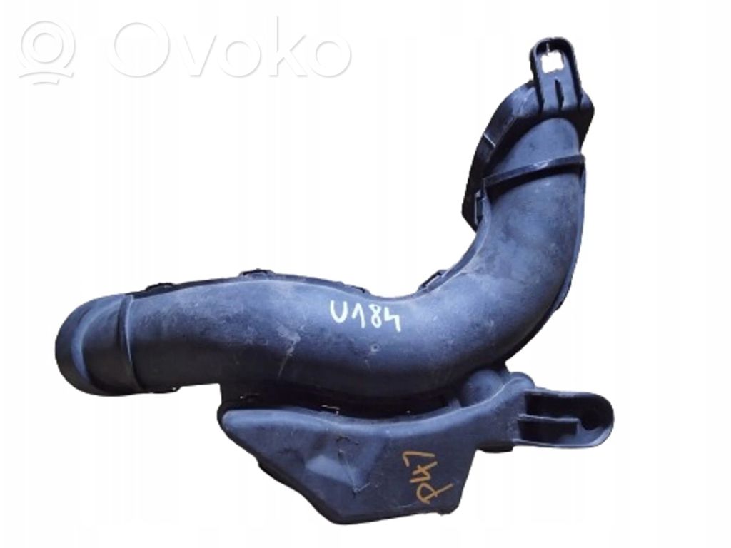 Nissan Juke I F15 Conductă/furtun admisie aer 