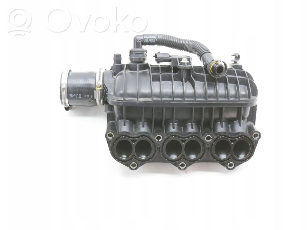 Ford Focus Intake manifold 