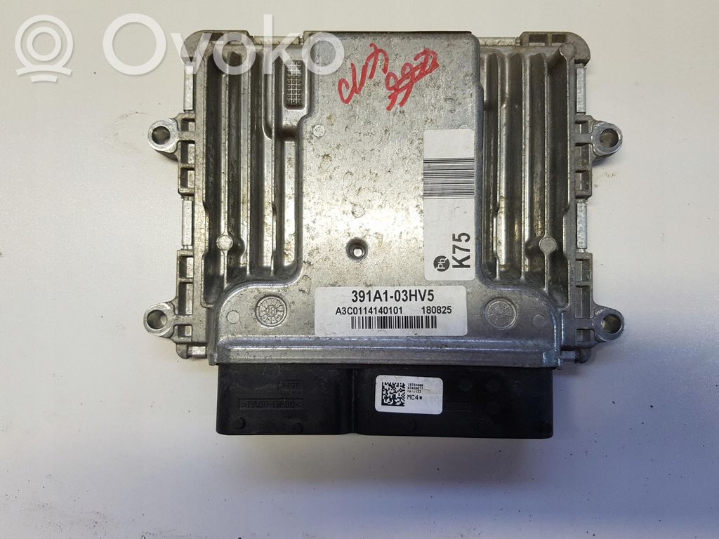 Hyundai Ioniq Other control units/modules 