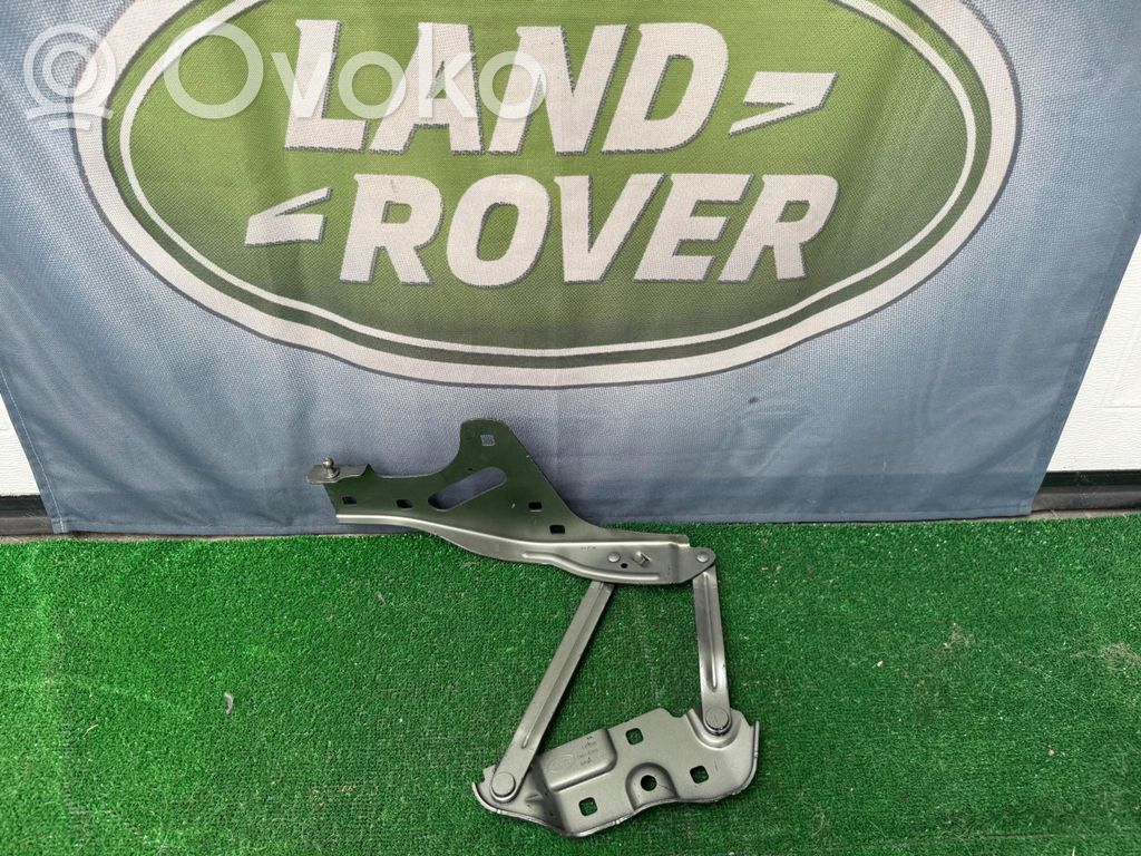 Land Rover Defender Balamale capotă 