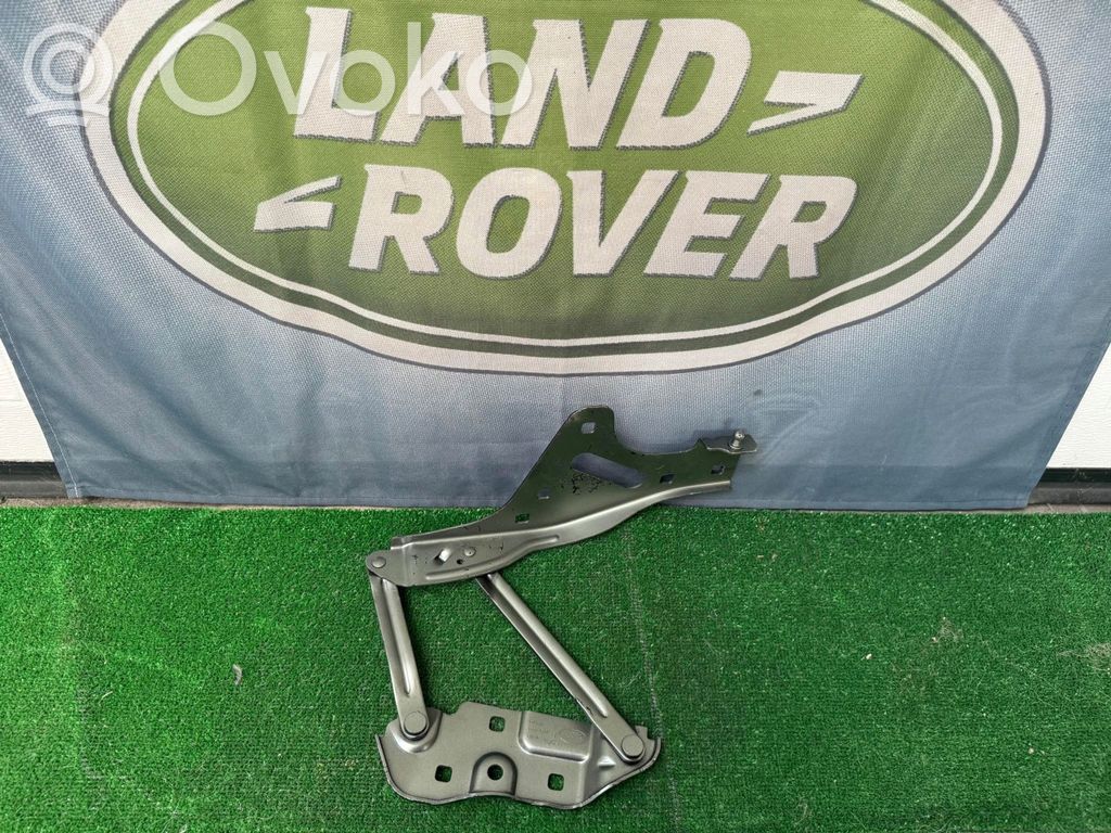Land Rover Defender Balamale capotă 