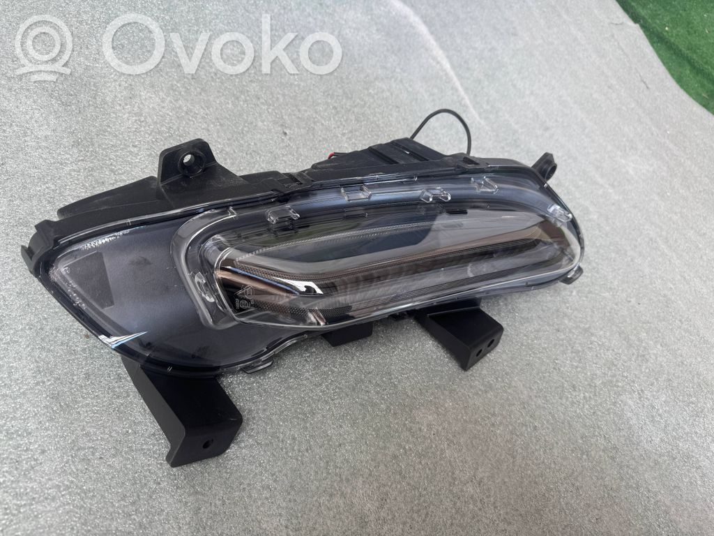MG HS Miglas lukturis priekšā 