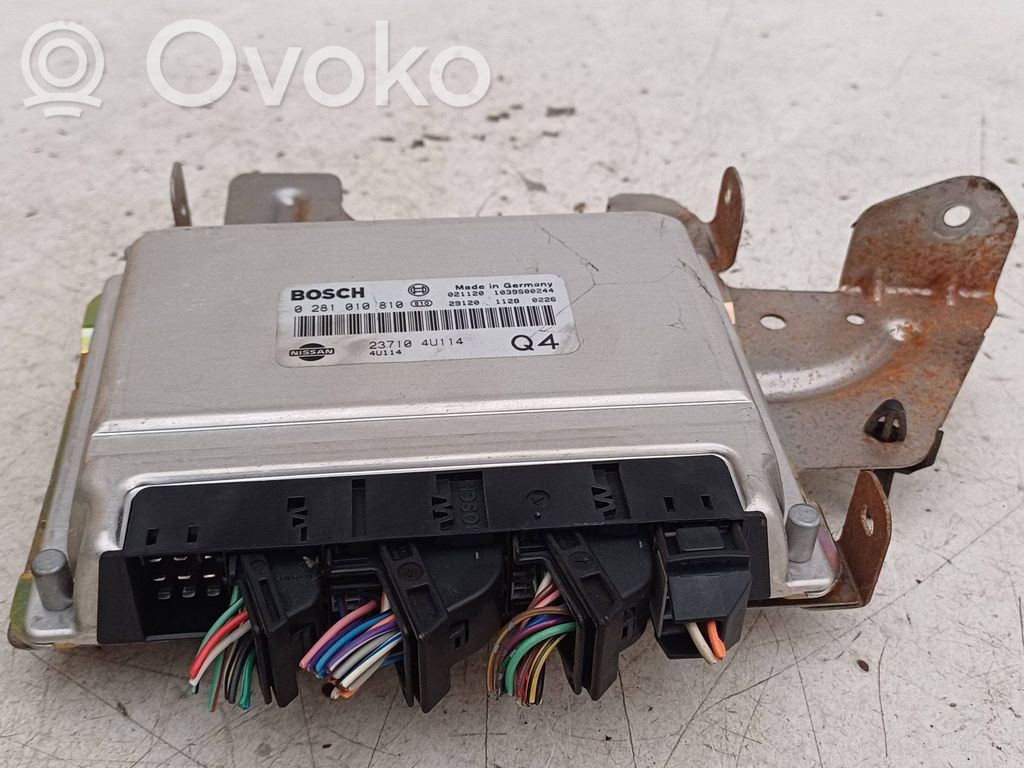 Nissan Almera Tino Engine control unit/module 