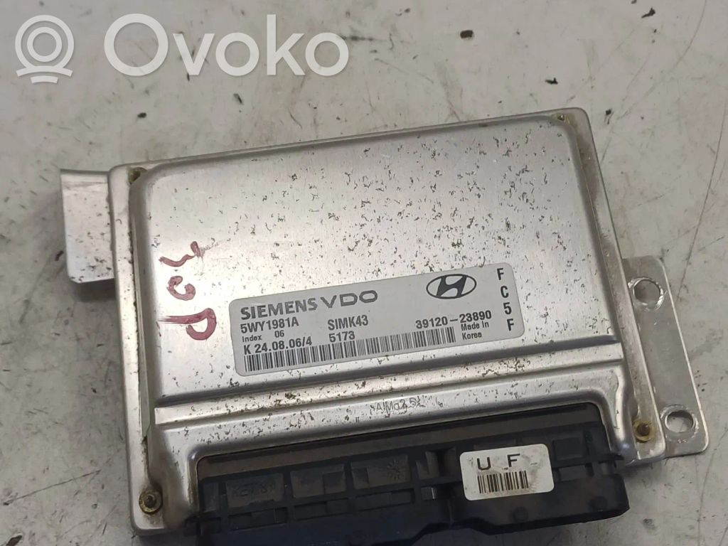 Hyundai Trajet Engine control unit/module 