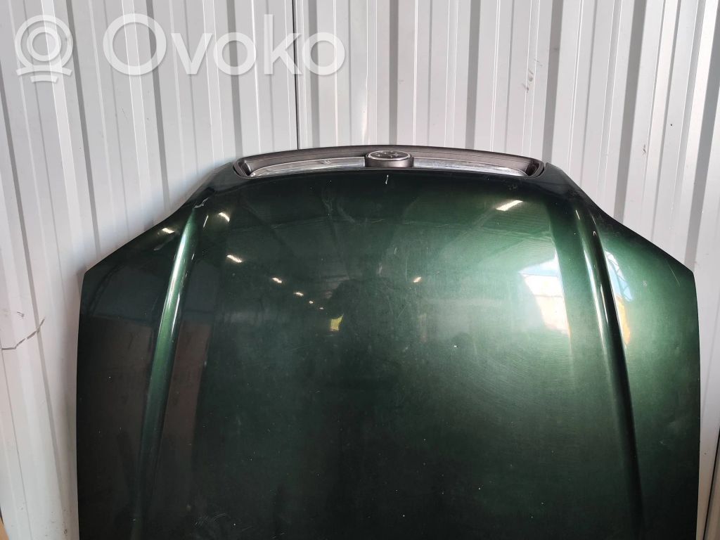 Engine bonnet/hood