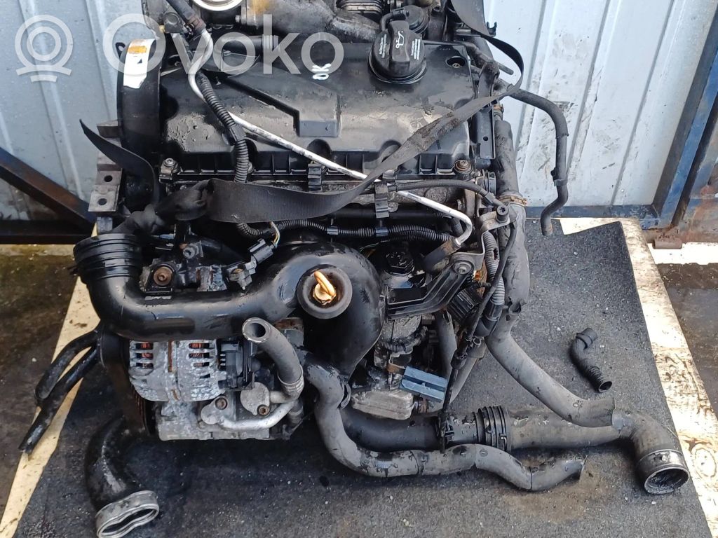 Engine   BKC,BKC480030