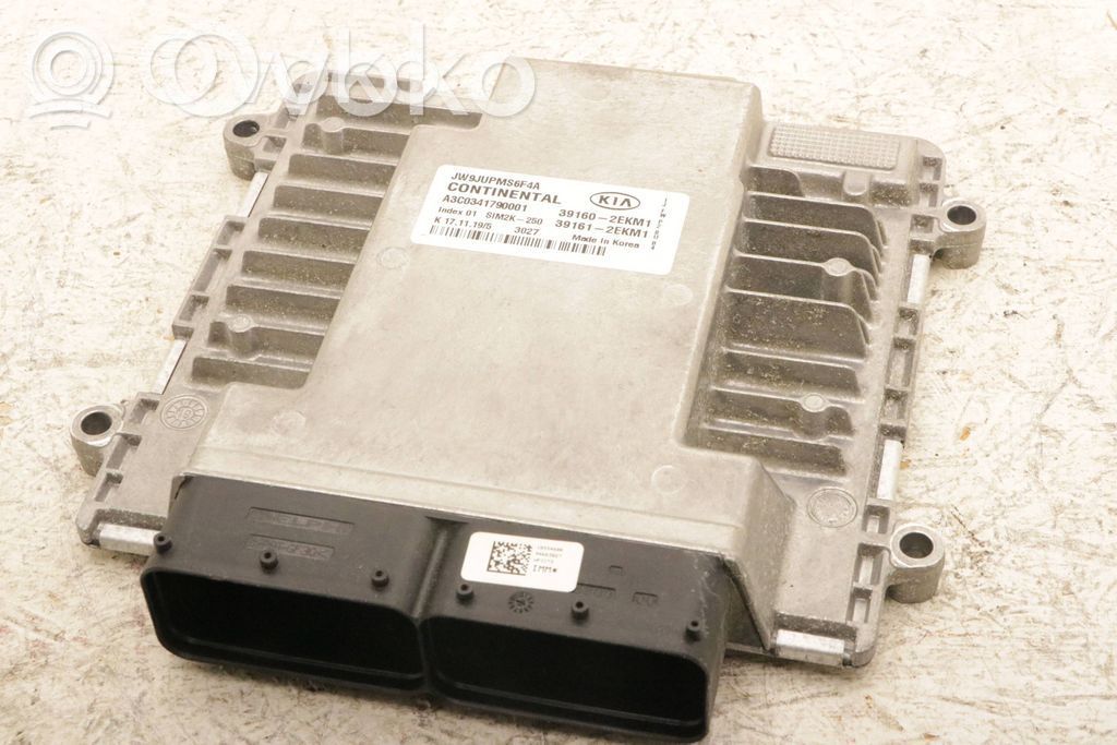 KIA Optima Engine control unit/module 