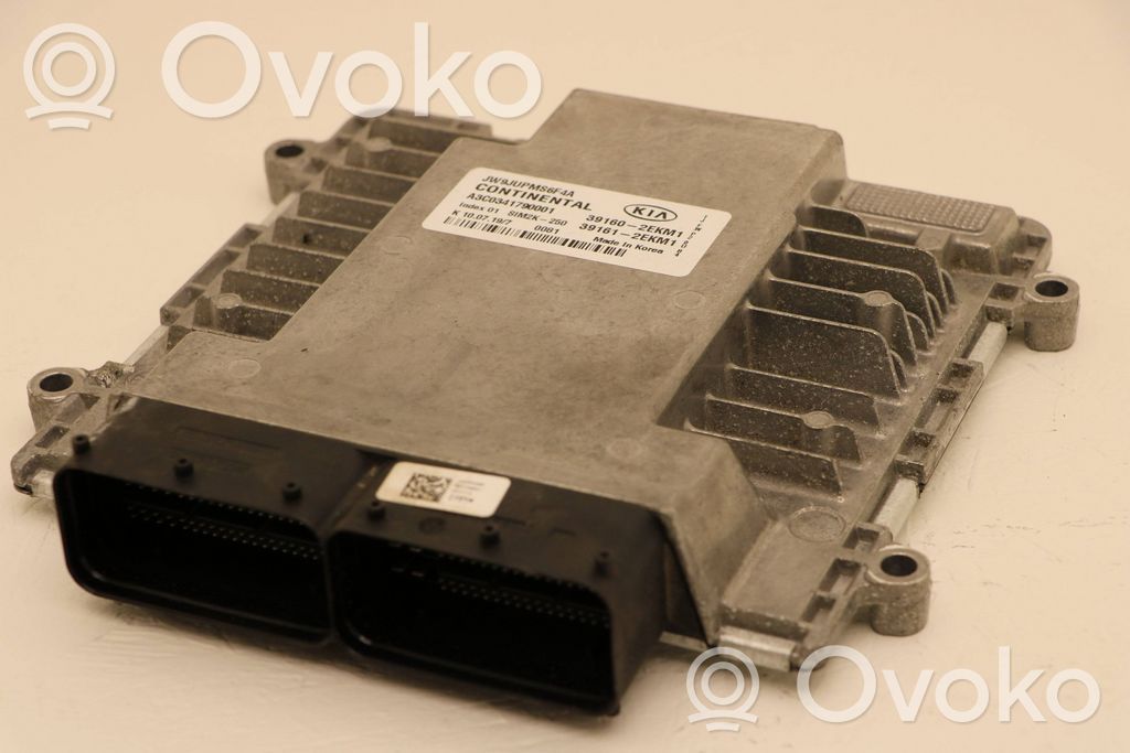 KIA Optima Engine control unit/module 