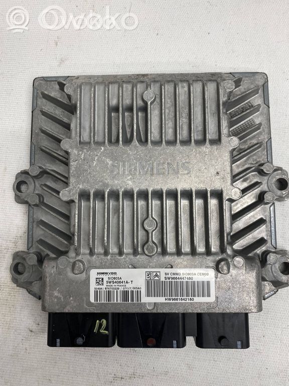 Engine control unit/module   SW9664447480