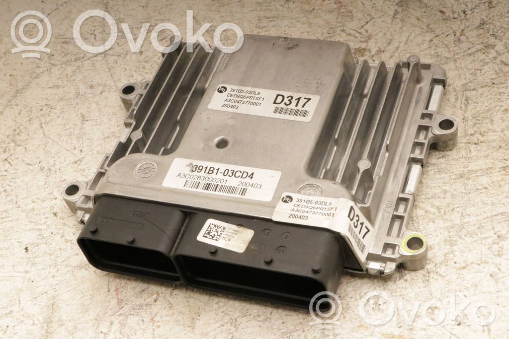 Engine control unit/module   A3C0473770001,391B503DL9,391A503DL9,391A503DL9,391B503DL9