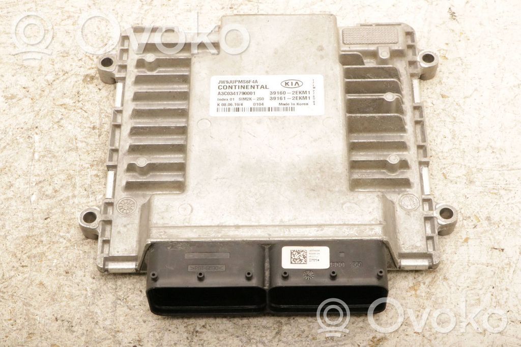 KIA Optima Engine control unit/module 