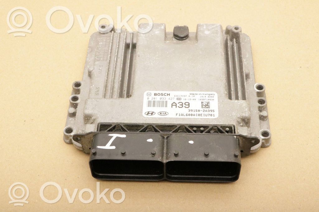Engine control unit/module   391502A395,02891033427,02891033427