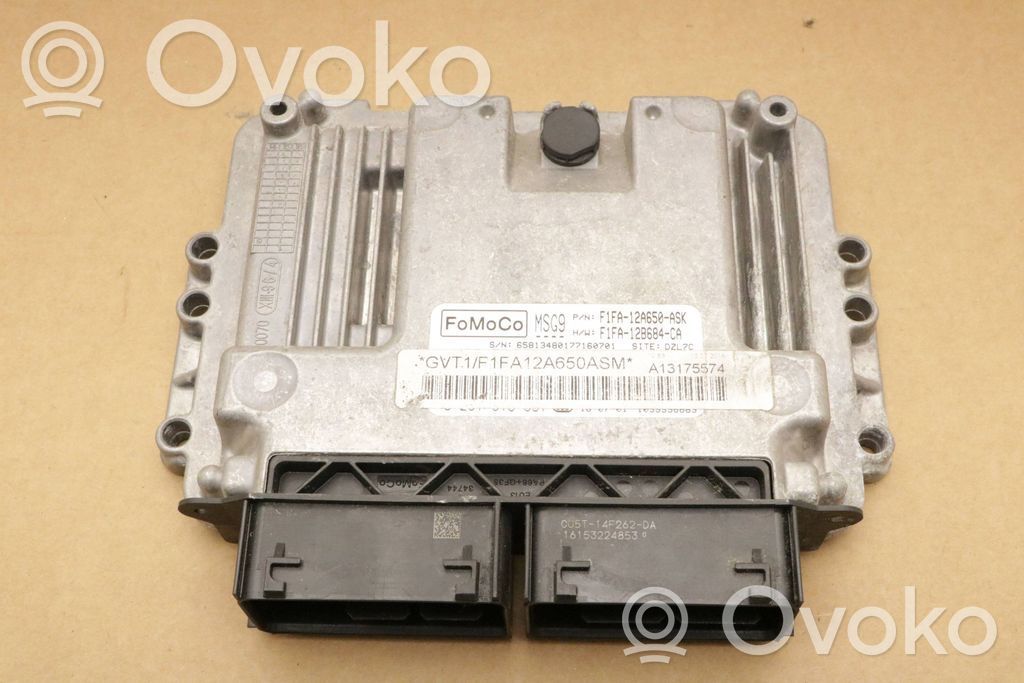 Ford Focus Engine control unit/module 