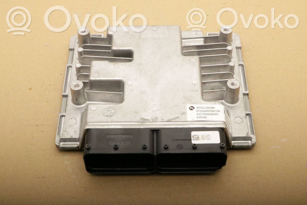 Engine control unit/module   391S308AN0,391S208AN0,391S208AN0