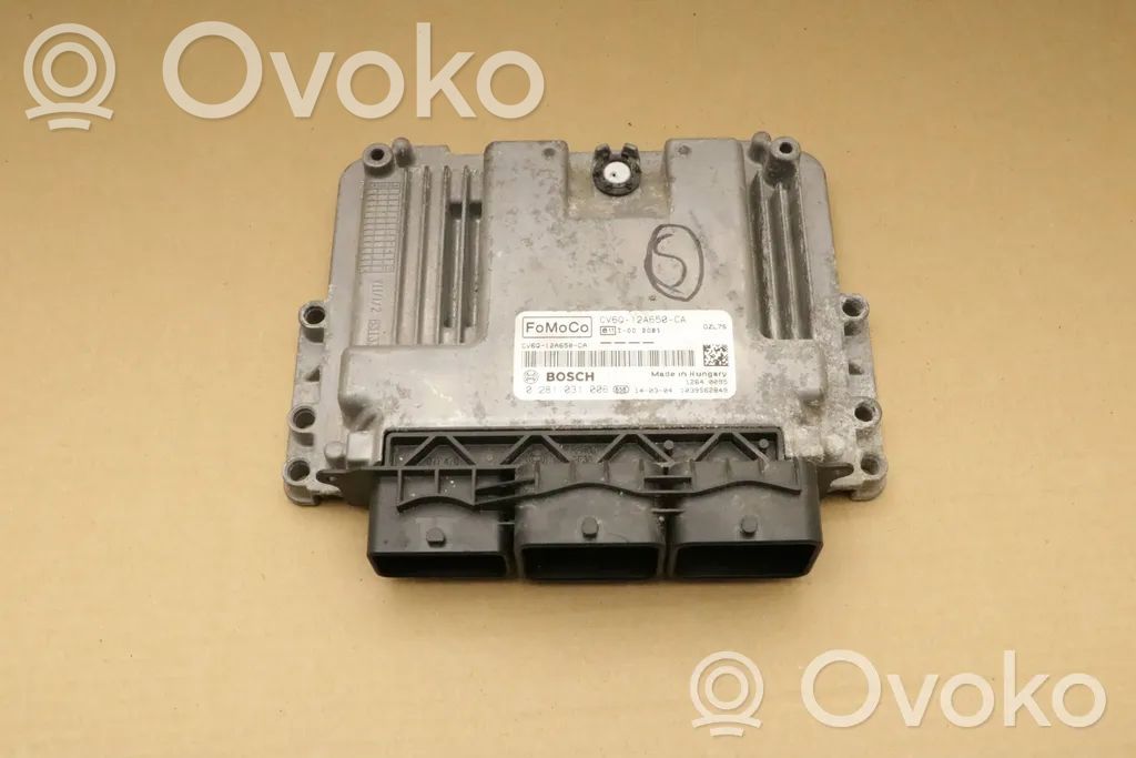 Ford Focus Engine control unit/module 
