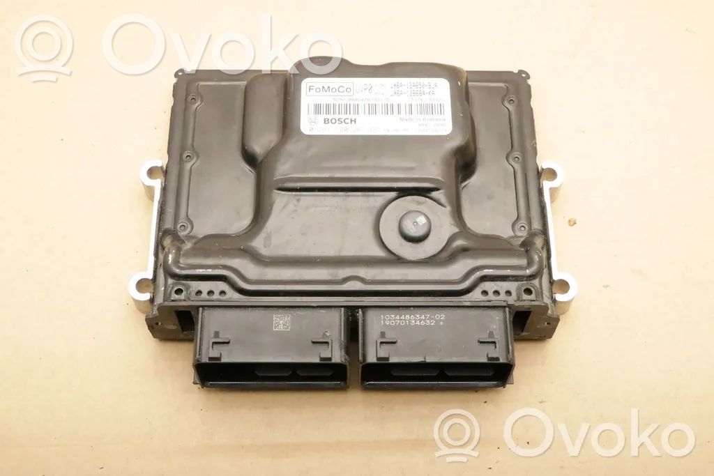 Ford Focus Engine control unit/module 