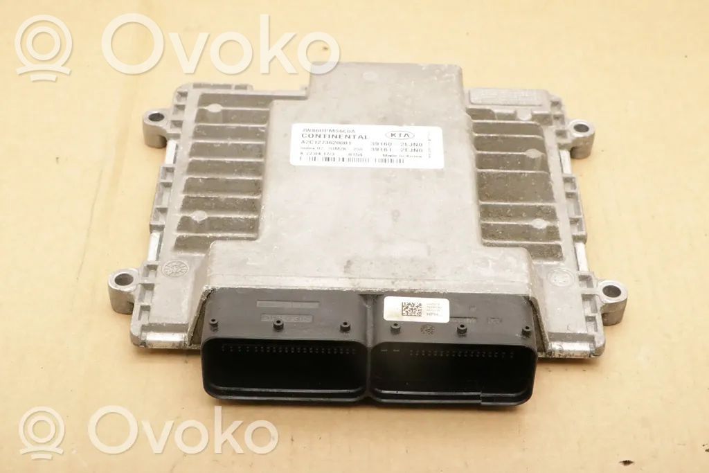 KIA Optima Engine control unit/module 