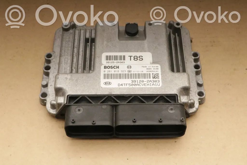 Engine control unit/module   391202A303,0281018923,0281018923