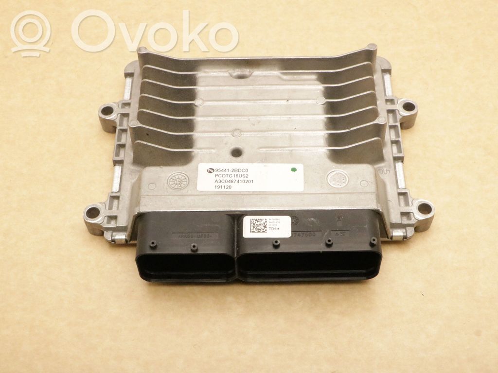 Engine control unit/module   954412BDC0,954412BDC0,A3C0487410201