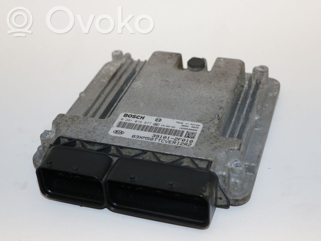Engine control unit/module   0281016877,0281016877,391012F010