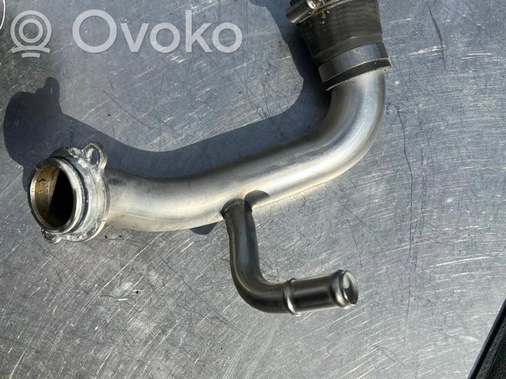 Engine coolant pipe/hose   3016411