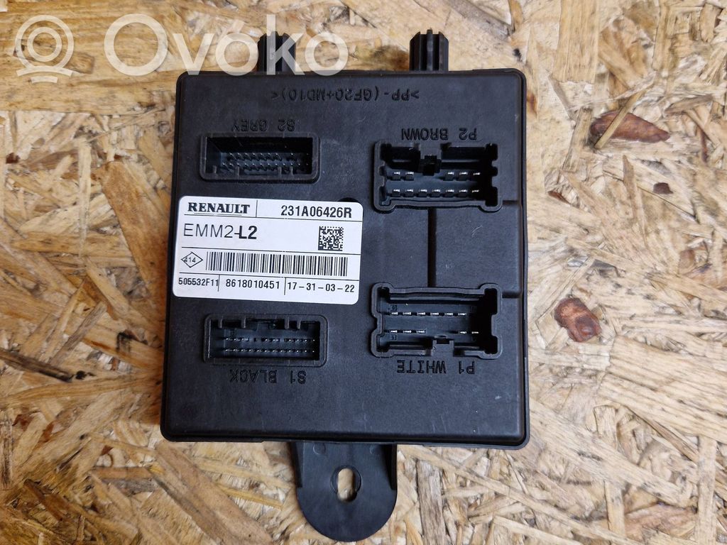 Other control units/modules   231A06426R,505532F11,8618010451