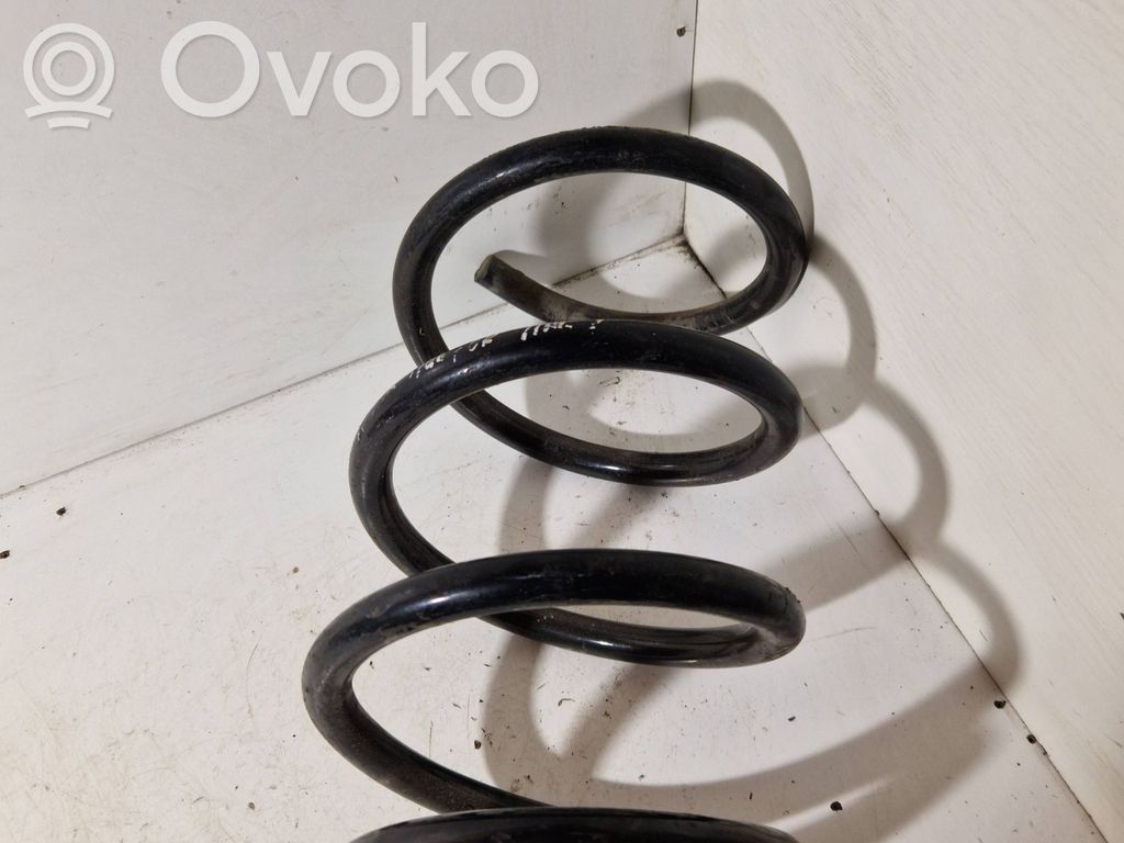 Front coil spring