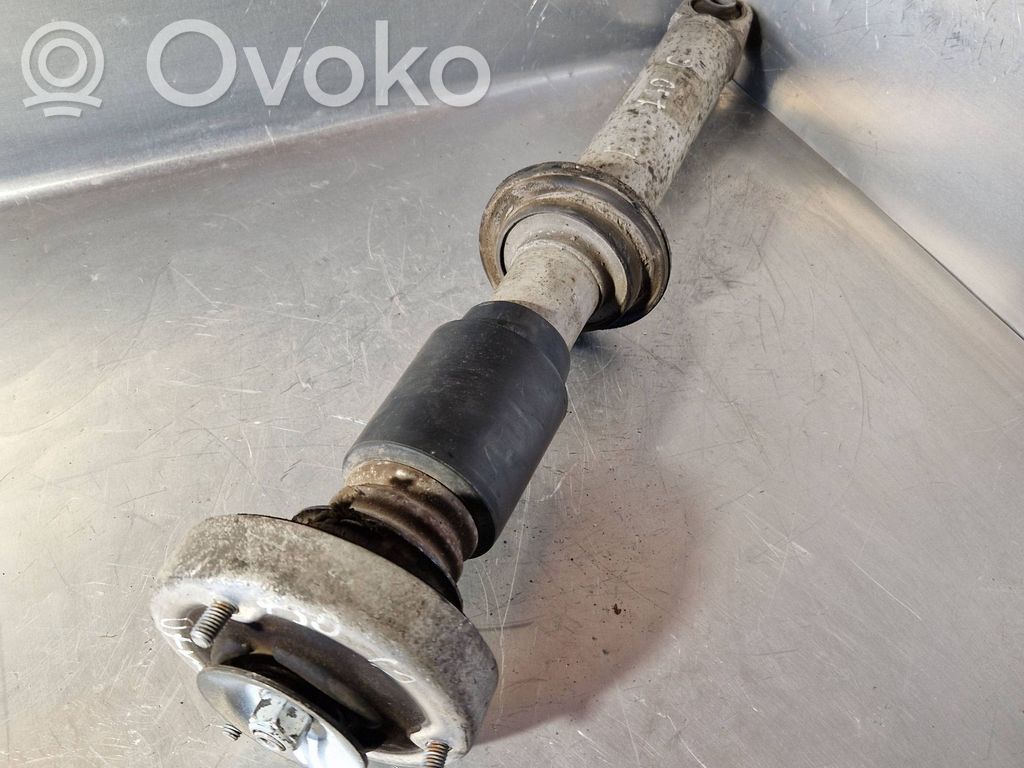 Rear shock absorber/damper