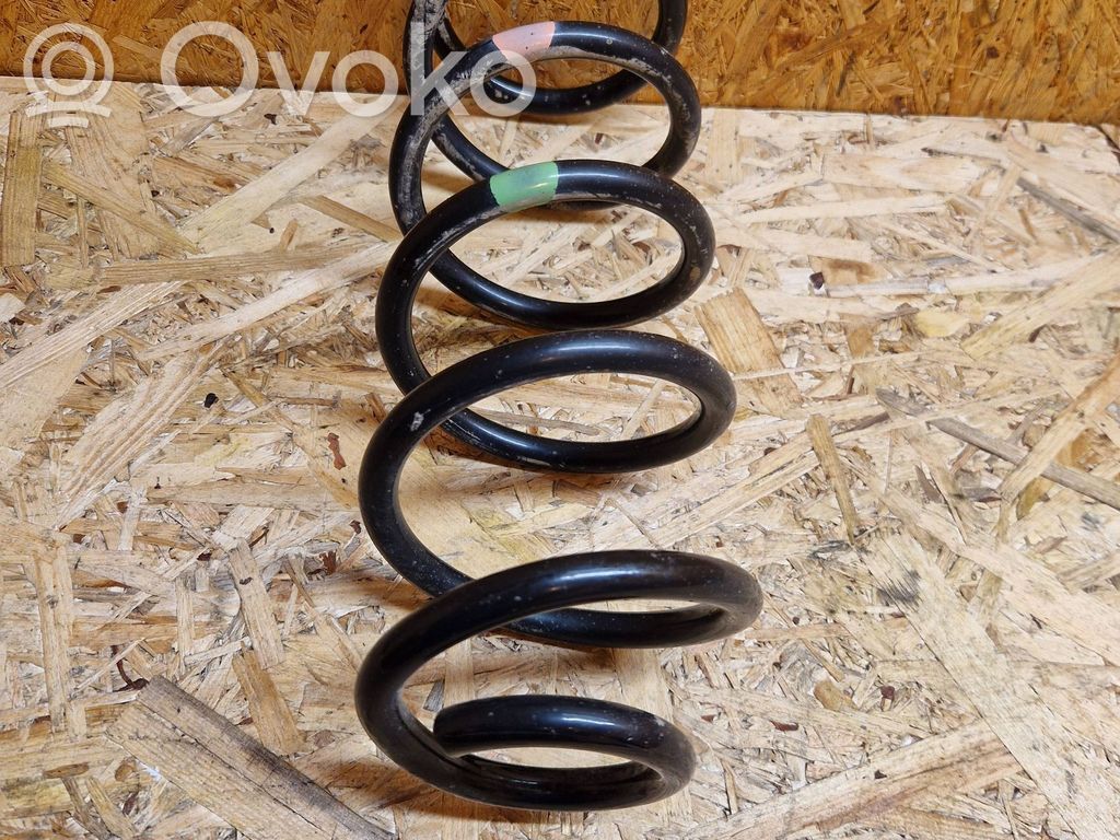 Rear coil spring