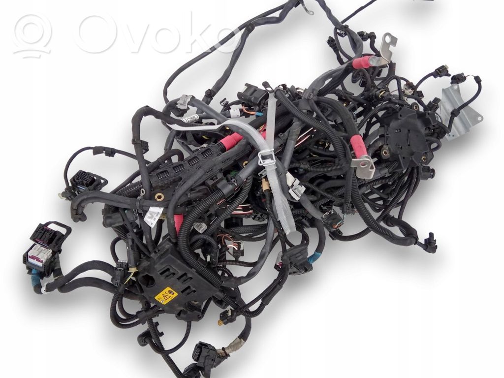 BMW X6 G06 Cableado de puerta delantera 
