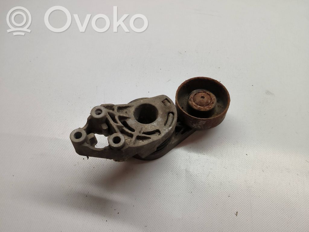 Volkswagen Polo IV 9N3 Diržo įtempėjas 