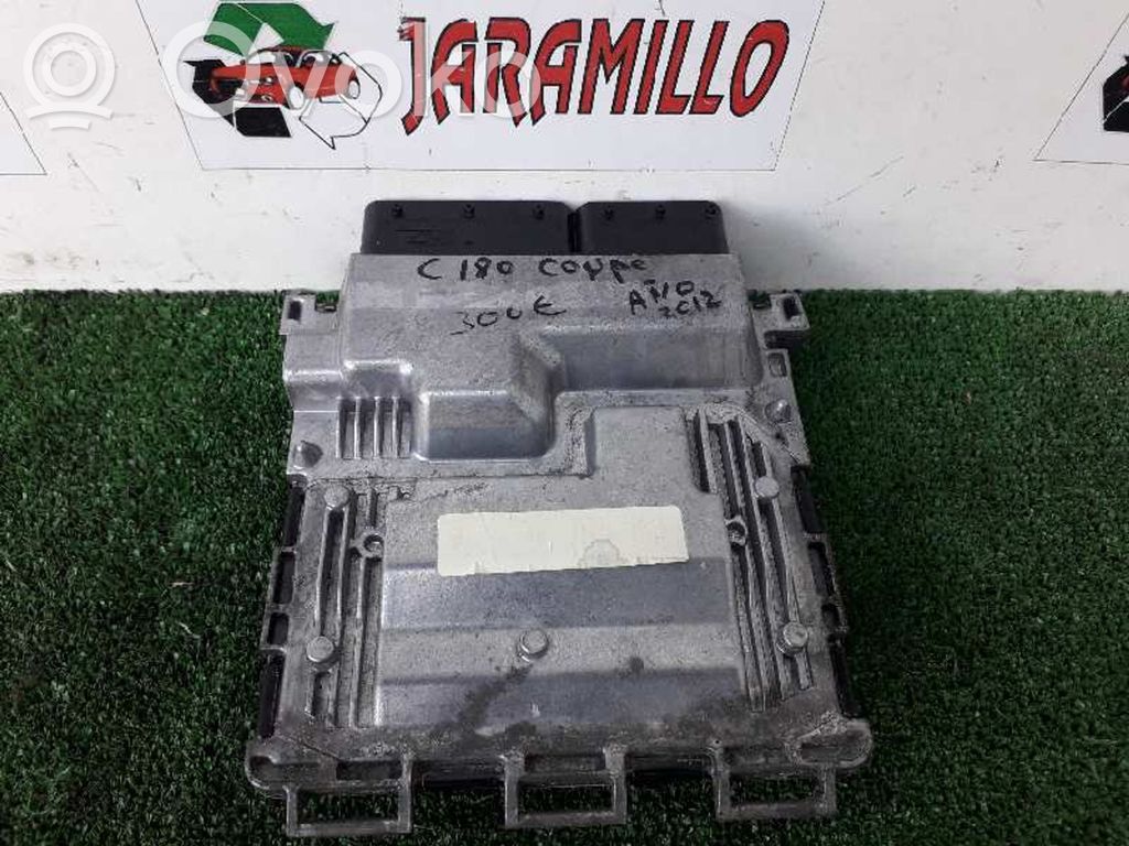 Mercedes-Benz C W204 Engine control unit/module 