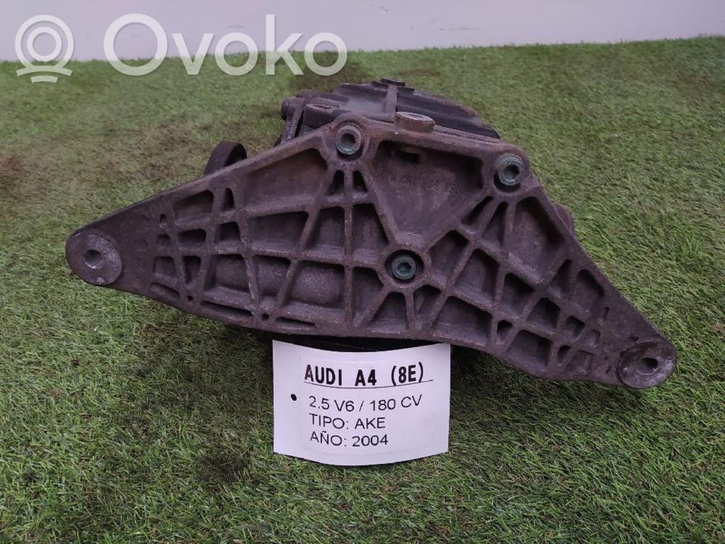 Audi A4 S4 B6 8E 8H Galinis reduktorius 