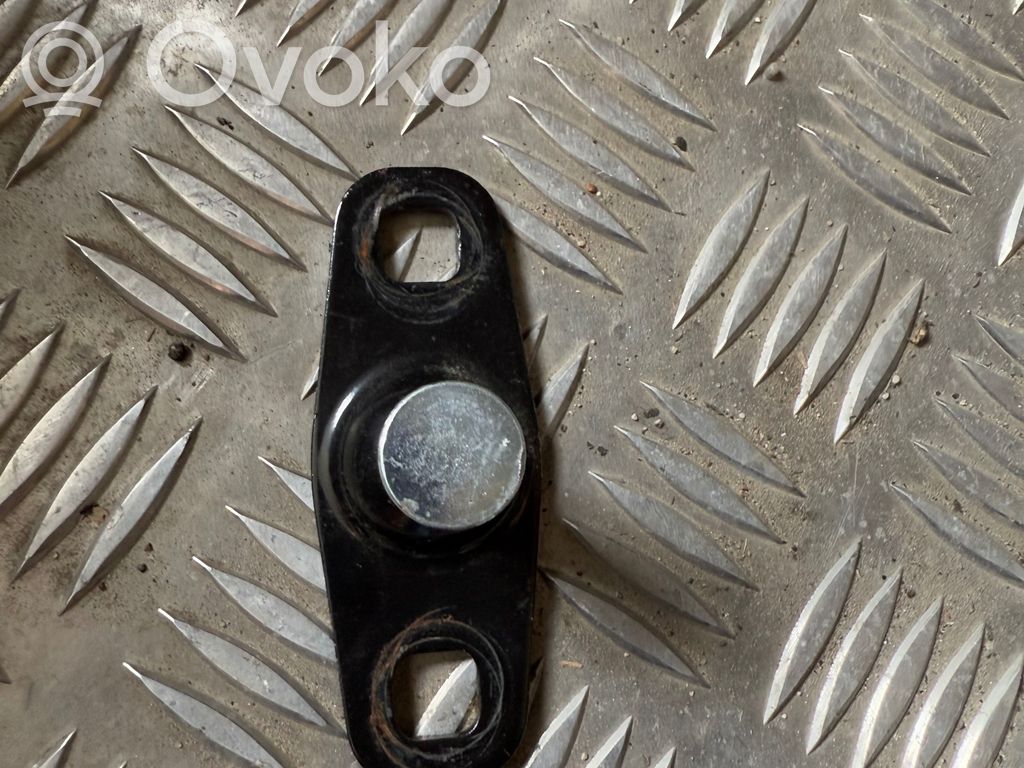 Front door lock loop/hook striker