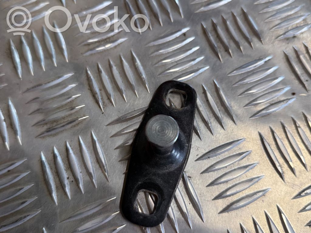 Front door lock loop/hook striker