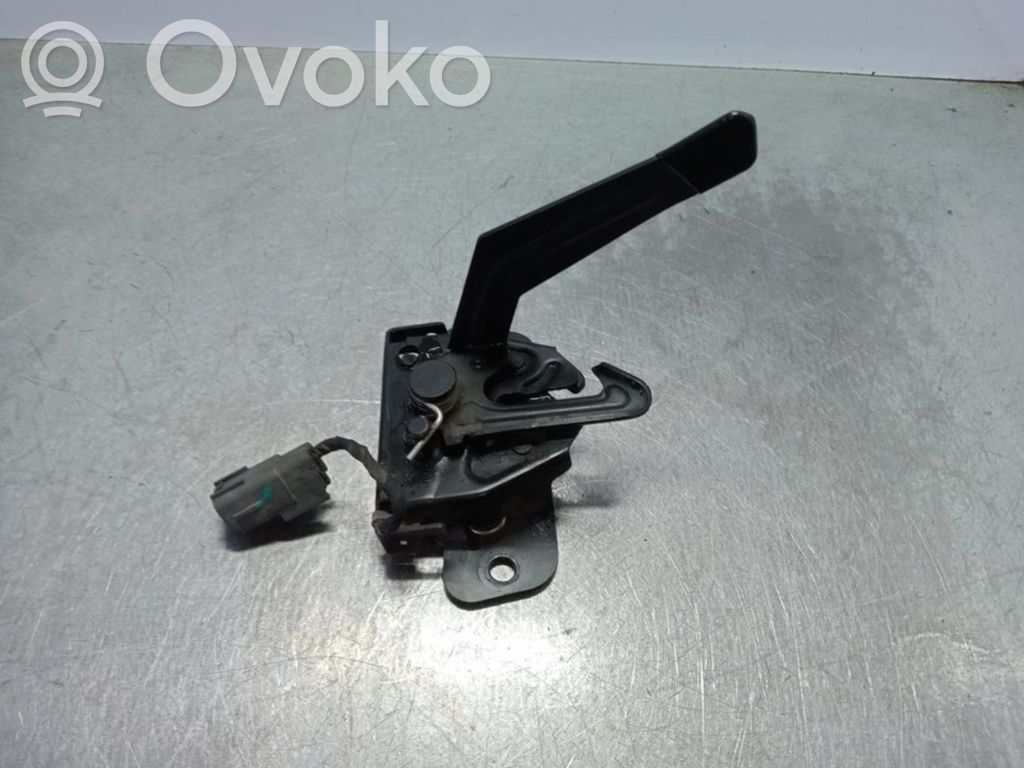 Tie down hook / loop   10431597