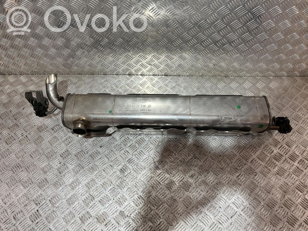 Renault Symbioz Galinė pūslė 