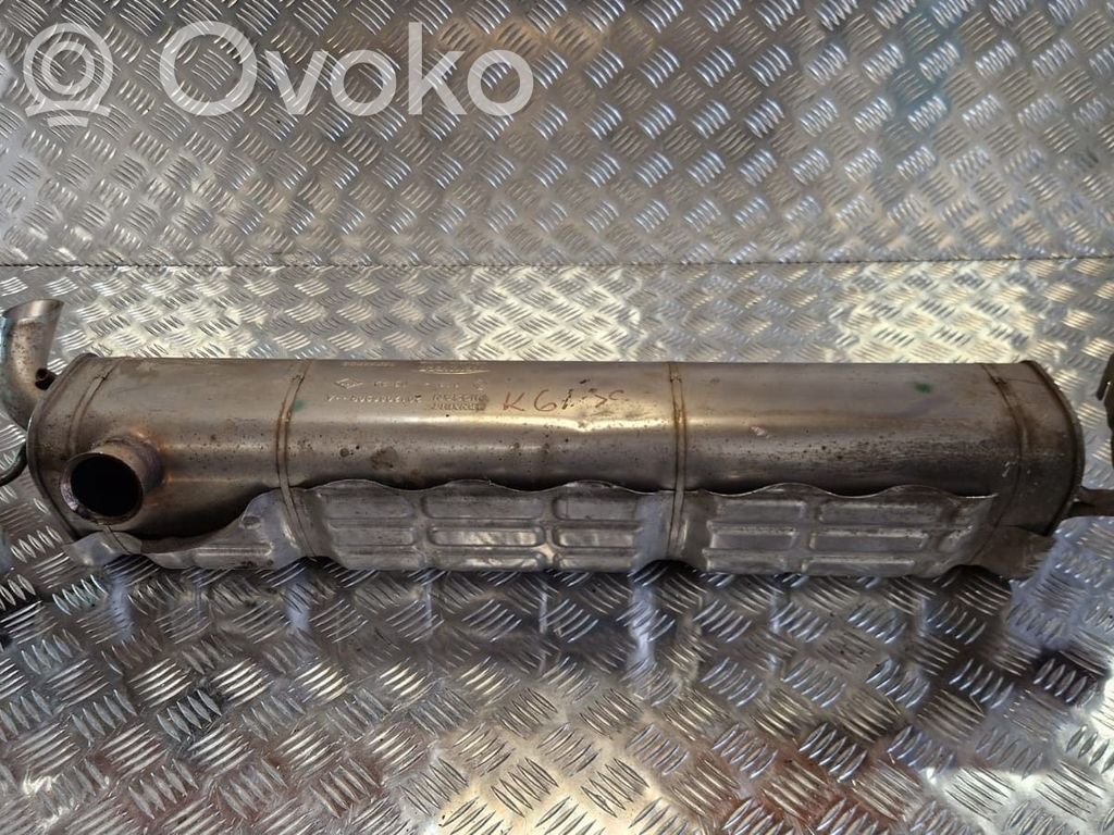 Galinė pūslė   201208690R,201208690R